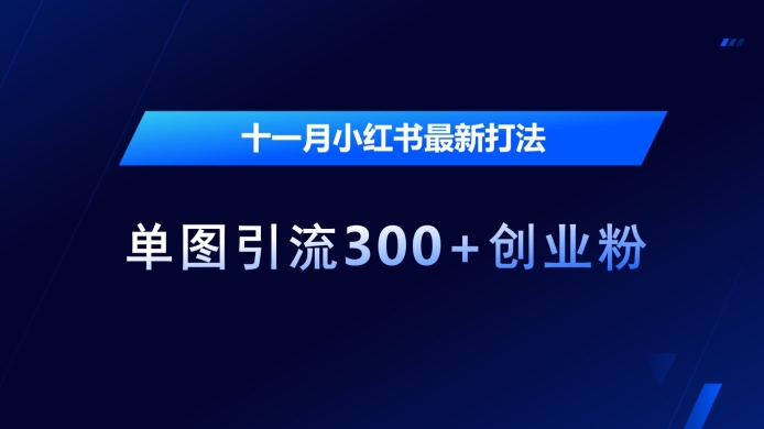 十一月小红书最新打法，单图引流300+创业粉【揭秘】-启航188资源站