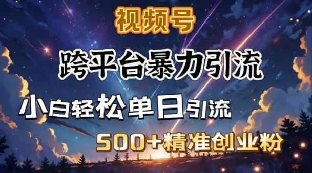跨平台暴力引流，私域完美闭环，日引500+精准创业粉-启航188资源站