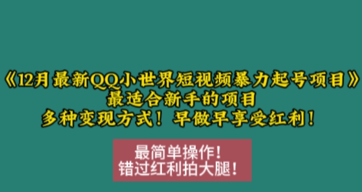 12月最新QQ小世界短视频暴力起号项目，最适合新手的项目，多种变现方式-启航188资源站